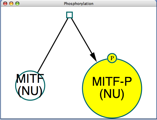 custom-phos-node-2.png