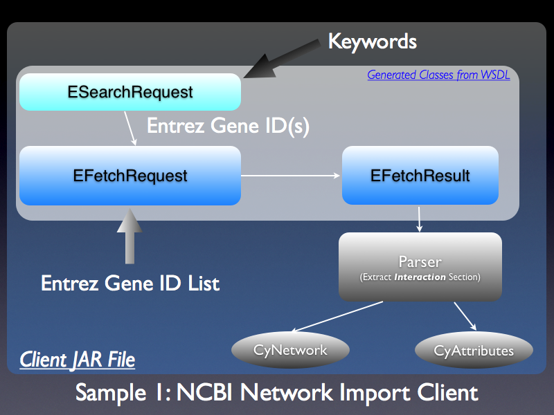 ncbi_network1.png