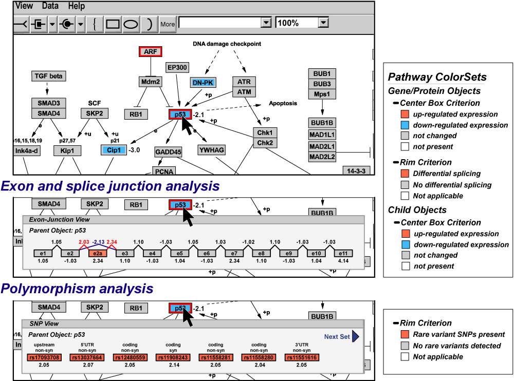 Fig-12-high-res1.jpg