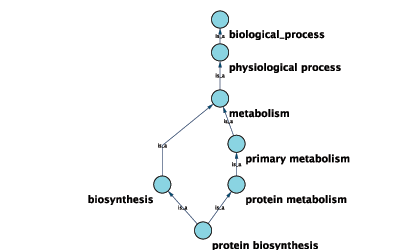 ontology_dag1.png