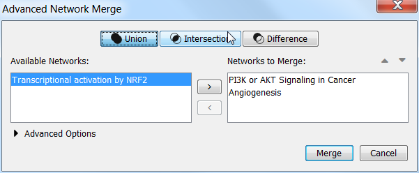 Advanced Network Merge