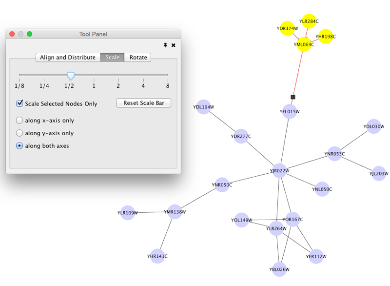 scale_networkB.png