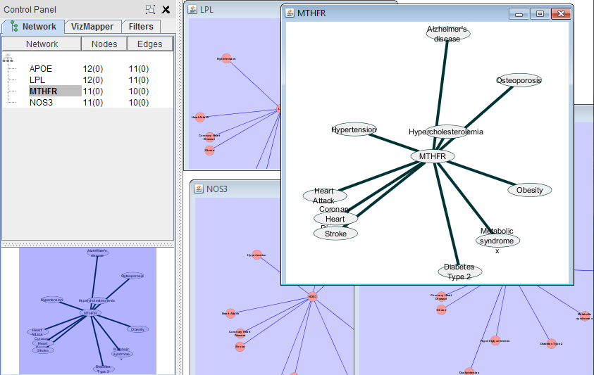 cytoscape_network_hierarchy_30.png