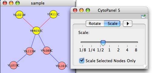 scale_networkA.png