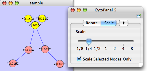 scale_networkB.png