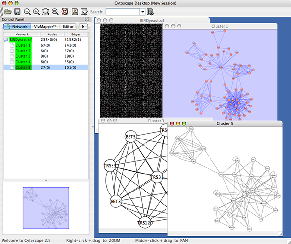 cytoscape_network_hierarchy_25.png