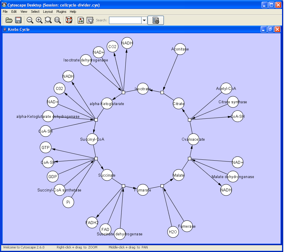 krebs_cycle2.png