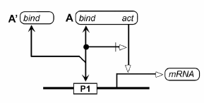 dnasite2_061117_dwk.png