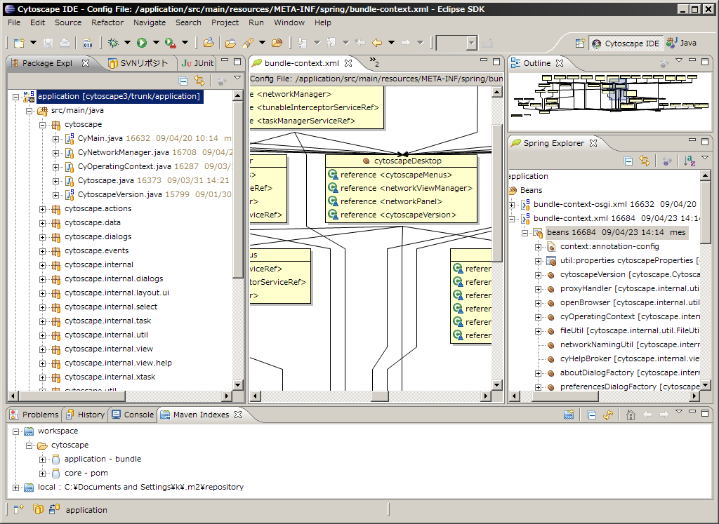 cytoscape_ide1.png